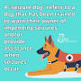 Seizure Alert Dogs from hiehelpcenter.org