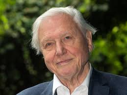 Sir David Attenborough reveals concern about plastic in the oceans