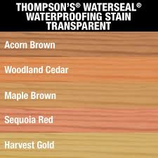 Thompsons Waterseal 1 Gal Transparent Acorn Brown