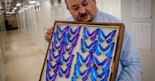 Millions of objects in hidden collection at Smithsonian museum