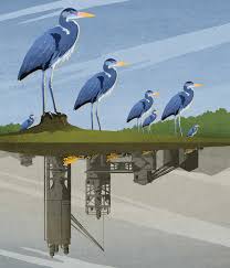 Survival of the Fittest