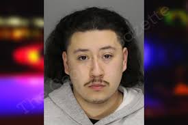 Anderson Silva — Cobb County Jail Bookings