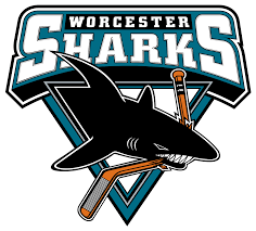 San jose sharks printable coloring pages. Worcester Sharks Wikipedia