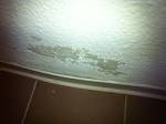 Wei?er schimmel wand