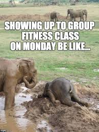 Late arrivals will not be admitted into the class. Monday Elephant Imgflip