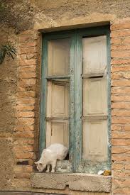768da37c93d3f371811381135b3217b6 Jpg 564 845 Pixels Chat Animaux Fenetre