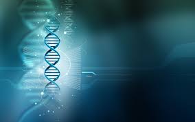 We did not find results for: Biyoloji Icin 7 Fikir Biyoloji Molekuler Biyoloji Nanoteknoloji