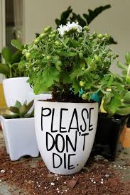Black And White Flower Pot Please Don T Die Planter Hand Lettered Planter Funny Plant Pot White Ceramic Planter With Black Lettering Plants Planters Flower Pots