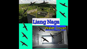 Check spelling or type a new query. Liang Naga Lubang Naga Rumah Walet Ideal Youtube