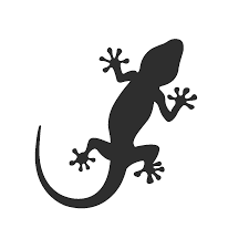 Black And White Leopard Gecko Clipart Lezard Pour Peinture Au Coton Tige Dessin Lezard Stickers Animaux Salamandre