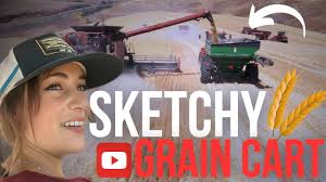 Grain Cart Operating and Field Butchering