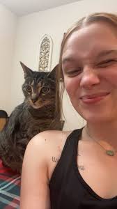 Lost white cat with different colored eyes in Laurel