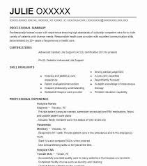 Hospice Nurse Resume Example Nursing Resumes Livecareer