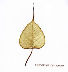 Buy Aaron McFarlinThe Story of Lord Buddha with photographs of the Frescoes  at Sarnath Mulagandha Kuty Vihara Temple [Paperback] Aaron McFarlin and  PILGRIMS PUBLISHING Online at desertcartSeychelles