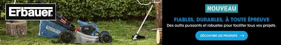 Taille Haie Elagueuse Debrousailleuse Coupe Branche Brico Depot