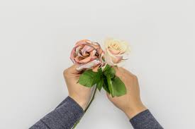 Geldscheine Falten Rose Geldscheine Falten Geld Falten Geburtstag Geldscheine