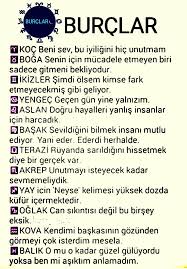 Ikizler Aslan Burclar Ikizler Gercekler