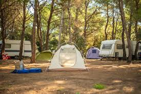 At camping world, gander outdoors & overton's choose a physical gift card or digital egift card, then select the desired amount and quantity. Digital Gift Ideas For Rvers Camping World