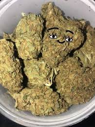 420, cannabis, drug, drugs, marijuana, nature, plant, psychedelic. Zaza