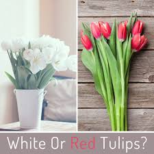 Maybe you would like to learn more about one of these? Miss Daisy S Flowers Event S Showroom Home Facebook