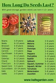 How Long Do Seeds Last Really Kaits Garden Home Vegetable Garden Food Garden Growing Vegetables