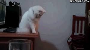 Https Encrypted Tbn0 Gstatic Com Images Q Tbn And9gcstoxs4aclfuedg2oknnkuvr2hsawrcc4quaq Usqp Cau