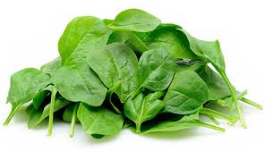 E. coli outbreak in our region linked to baby spinach | WOWK 13 News