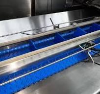 12 scale packing machine for Blueberries