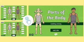 You can easily lose your audience with distracting movements because your audience's focus and attention. Labelling Body Parts Game Interactive Activity Twinkl Go