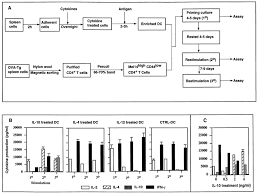 A Flow Chart Demonstrating Scheme Of Experiments B Il 10