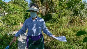 Carenow® urgent care clinics in port st. Judge Rules Psl Homeowners High Grass And Weeds Are Native Flowers