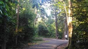 Maybe you would like to learn more about one of these? Melaka Botanikal Garden Ayer Keroh 2021 All You Need To Know Before You Go With Photos Ayer Keroh Malaysia Tripadvisor