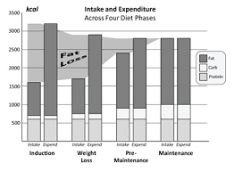 How Improtant Is Protein And Fat Whilst On Atkins Atkins