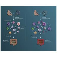 1902 highway 32 south thief river falls, mn 56701. 6s08cfi77shorm