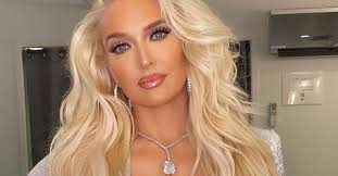 Erika jayne is certainly one name that you have heard of before! Erika Girardi Net Worth The Rhobh Famed Star Career Earnings Otakukart