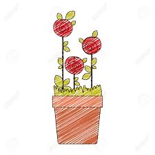 Learn how to draw flower pots pictures using these outlines or print just 1040x1300 flower pot simple pencil drawing beautiful flower to draw. Color Pencil Drawing Of Roses Planted With Leaves In Flowerpot Royalty Free Cliparts Vectors And Stock Illustration Image 76188533