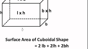 Maths How To Find Surface Area Of Solid Shapes Cube And Cuboids English Youtube