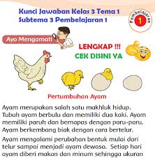 Kunci jawaban tematik kelas 3 tema 7 halaman 105. Lengkap Kunci Jawaban Kelas 3 Tema 1 Subtema 3 Pembelajaran 1 Simple News Kunci Jawaban Lengkap Terbaru