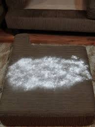 How To Remove Pee And Urine From Couch Works For Mattresses Too Diy Cleaning Products House Cleaning Tips Cleaning Painted Walls