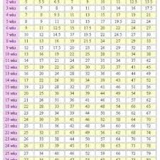 yorkie estimated growth chart dogs puppy growth chart