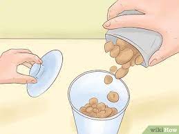 Check spelling or type a new query. How To Sneak Food Into Your Room With Pictures Wikihow Fun