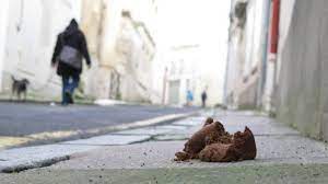 Maybe you would like to learn more about one of these? Des Crottes De Chiens Qui Enervent