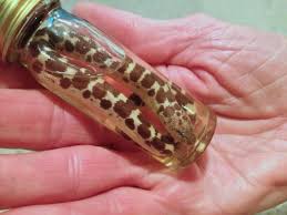 An Unwanted Guest | Mary E. Trimble