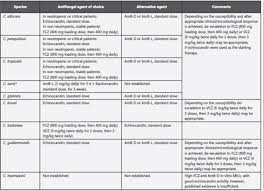 Colombian Consensus On The Diagnosis Treatment And Prevention Of Candida Spp Disease In Children And Adults