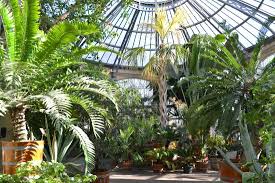 Der botanische garten der universität basel wurde 1589 von caspar bauhin gegründet und befand sich ursprünglich unterhalb der heutigen alten universität beim rheinsprung. Hortus Botanicus Amsterdam 2021 All You Need To Know Before You Go With Photos Tripadvisor