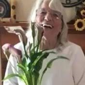 Search Barbara Pringle Obituaries and Funeral Services