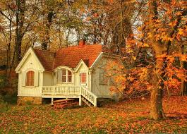 Autumn Wallpapers For Mobiles