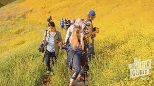 This group is dedicated to singles around the usa. The Ultimate Guide To Starting A Group On Meetup Meetup Blog