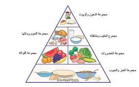 صور الهرم الغذائي باللغة العربية واللغة الانجليزية 2015 مع الشرح منتديات حلم الاردن alphabet flashcards teacher training flashcards