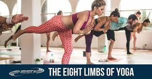 The Eight Limbs Of Yoga Yoga Knowledge For Trainers And
